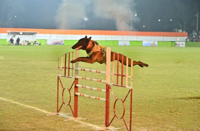 Assam Rifles Dog Squad Steals the Show with Elite Tactical Display at Captain Jintu Gogoi Memorial Tournament