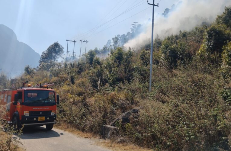 Indian Army and IAF Launch Massive Firefighting Operation to Contain Walong Forest Fires