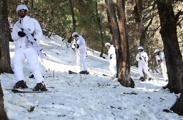 High-Altitude Readiness: Ibex Rhinos Conclude Specialized Combat Ski Cadre at Surya Battle School