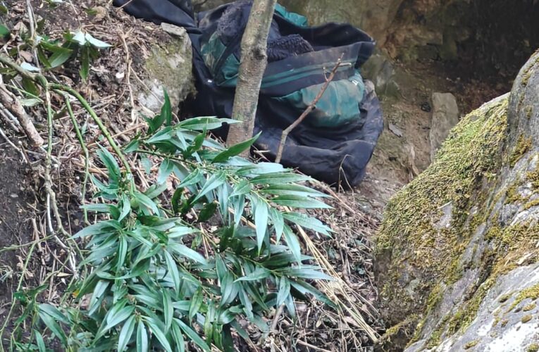 Indian Army’s White Knight Corps Busts Terrorist Hideout in Hari Budha Bowl; Arms and Logistics Recovered