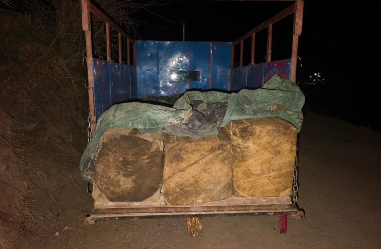 Udhampur Forest Division Foils Timber Smuggling Attempt; Vehicle Seized Near Gouri Kund