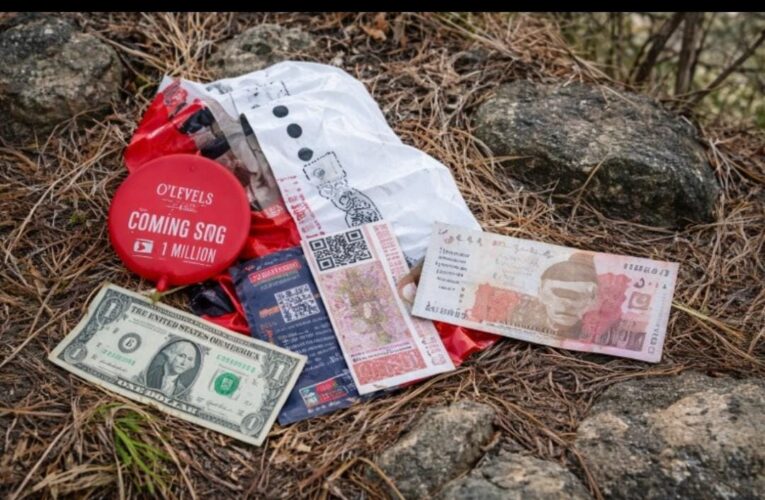 Pakistani Balloons and Foreign Currency Recovered in Jammu’s Akhnoor Sector