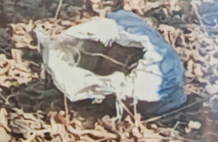 Security Forces Cordon Off Safapora–Ganderbal Road Following Discovery of Suspicious Object