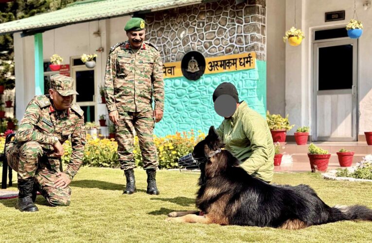 Army Assault Dog Tyson Recovering After Taking First Bullet in Kishtwar Anti-Terror Operation