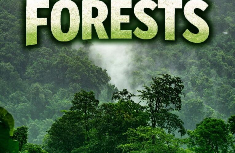 Vice President CP Radhakrishnan Emphasizes Forest Conservation for Global Wellbeing on International Day of Forests