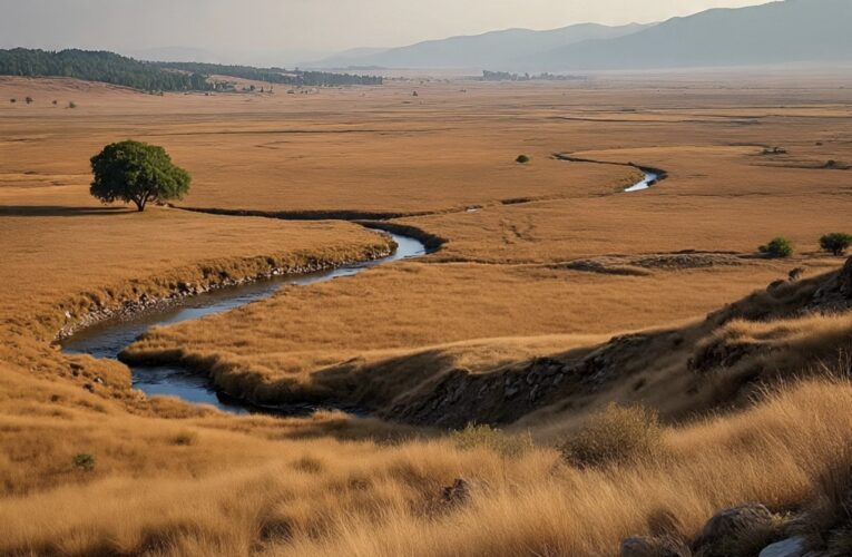 J&K Weather Update: Dry Spell to End as Light Rain and Snow Forecasted for Next Week