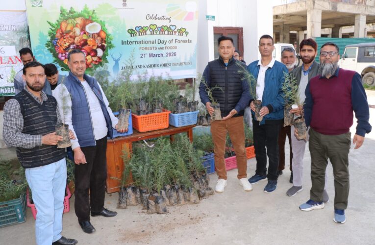 Srinagar Forest Department Launches Subsidized Sale of Conifer Saplings to Boost Urban Green Cover