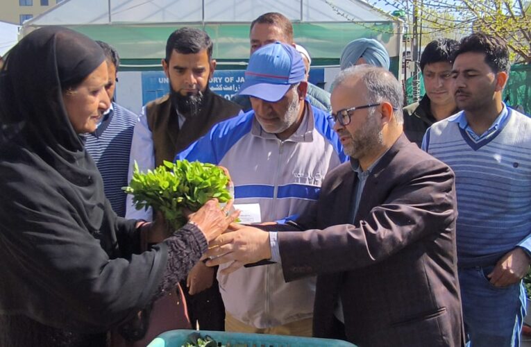 Director Agriculture Kashmir Launches 5th Phase of Vegetable Seedling Distribution Drive