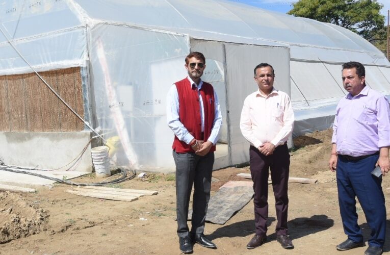Boosting Protected Cultivation: Director Agriculture Reviews High-Tech HADP Polyhouse Project in Majalta