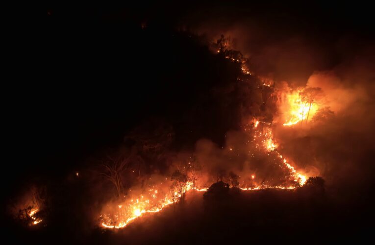 IAF Mi-17 V5 Deployed for Forest Fire Suppression in Arunachal Pradesh: 66,000 Litres Discharged​