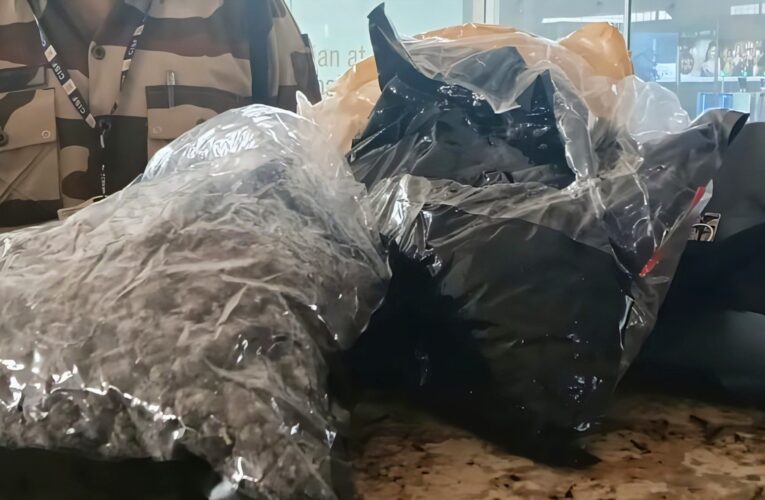 CISF Thwarts ₹2 Crore Drug Smuggling Attempt at Mumbai Airport; Airport Loader Apprehended