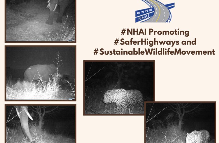NHAI’s First Elephant Overpass in Karnataka Proves Success as Tusker and Leopard Recorded Using Corridor