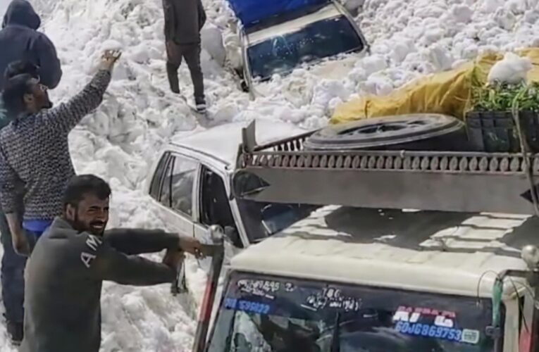 Zojila Avalanche Emergency: Multiple Vehicles Trapped Near Sonamarg; Massive Rescue Operation Underway