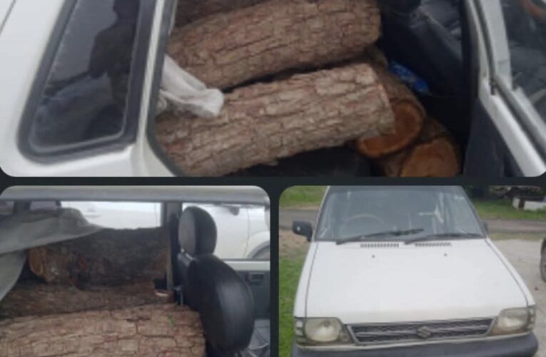 Kathua Police Seize Maruti 800 Carrying Illicit Khair Wood Logs in Hiranagar Patrol