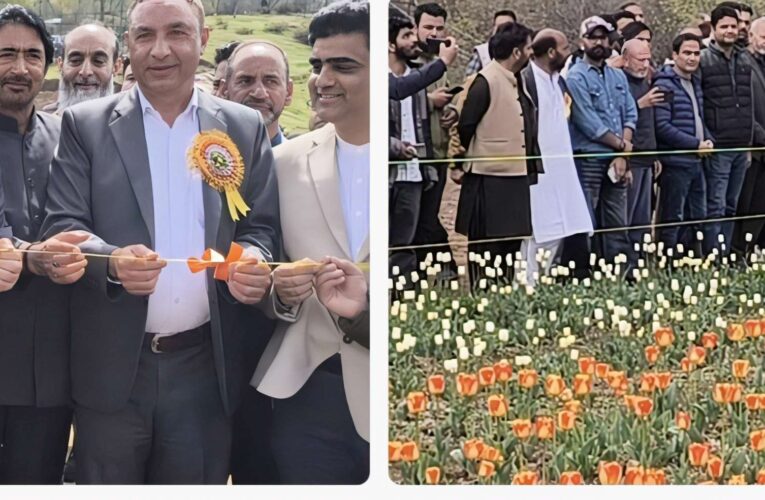 From Petals to Prosperity: Javid Dar Unveils Sagam Tulip Garden to Spark South Kashmir’s Green Revolution