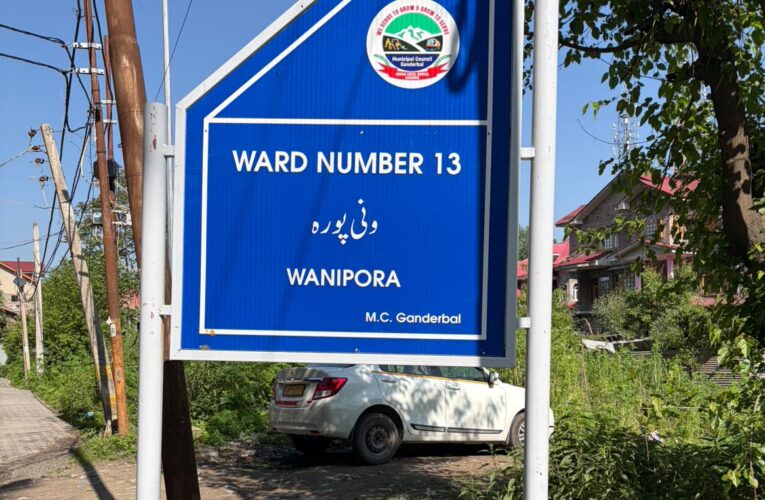 Wanipora Ward 13 Residents Forced to Clean Streets Themselves, Allege Neglect by Municipal Council Ganderbal