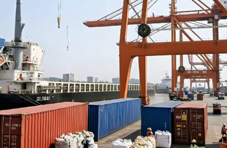 India Grants Full Customs Duty Exemption on 40 Critical Petrochemical Products Amid West Asia Conflict