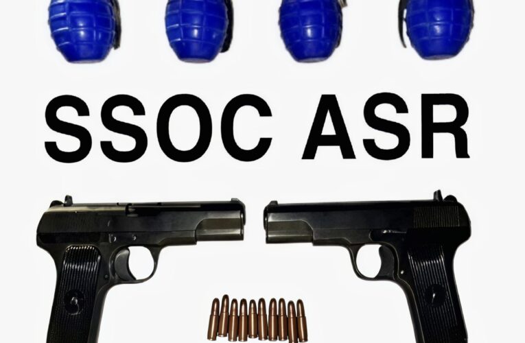 Punjab Police Bust Pakistan-Backed Terror Module; Arms and Ammunition Recovered