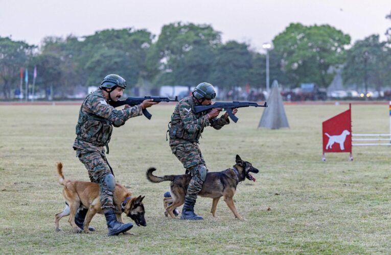 RVC Polo Team Clinches Victory as Meerut Polo Cup Returns After Two Decades