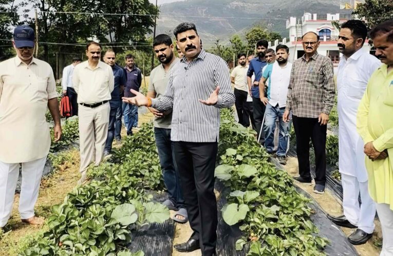 Strawberry Cultivation Marks New Agricultural Milestone in Manwal Udhampur Says Pawan Khajuria
