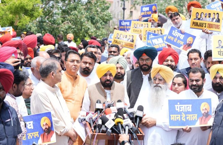 Chief Minister Bhagwant Mann Discusses Constitutional Values and Democratic Integrity with President