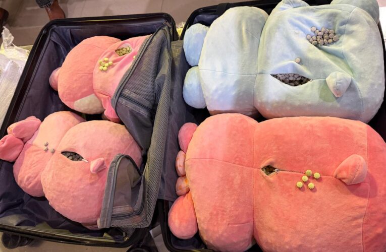 Amritsar Customs seizes MDMA worth 50 crore at SGRDJI Airport