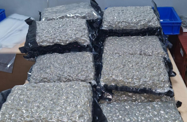 Customs officials seize marijuana worth crores at Delhi airport