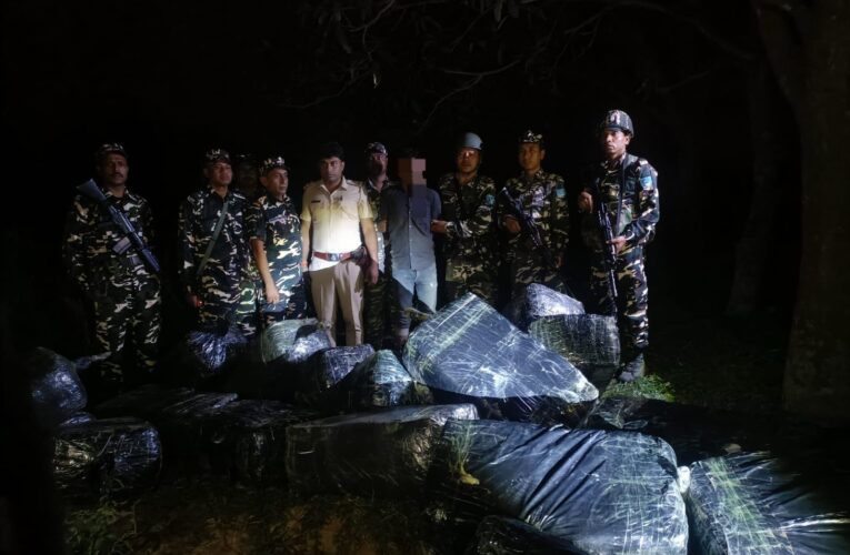 Sashastra Seema Bal and Bihar Police seize 630 kg ganja and arrest one smuggler along Indo Nepal border