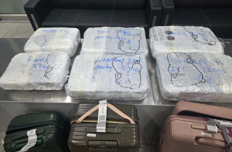 Delhi Customs seizes hydroponic weed worth 48 crore from passengers arriving from Bangkok
