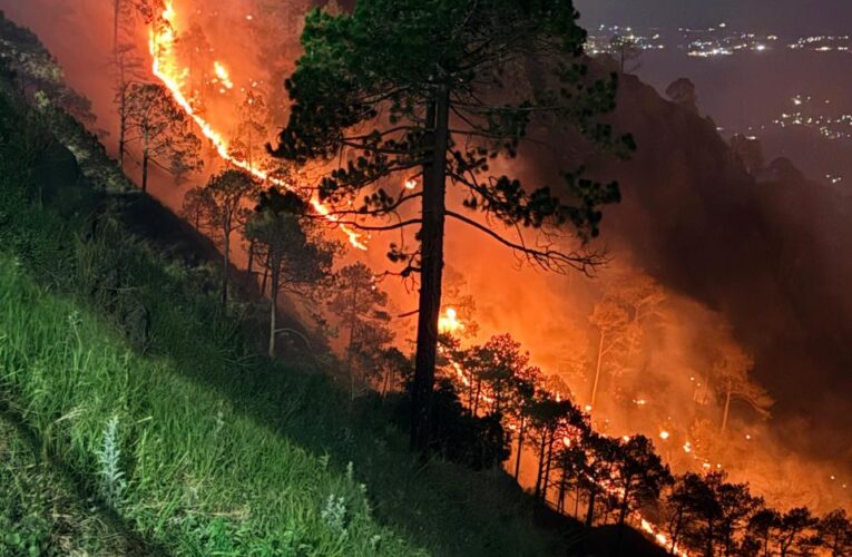 Indian Army and Air Force control major forest fire in Kasauli Cantonment