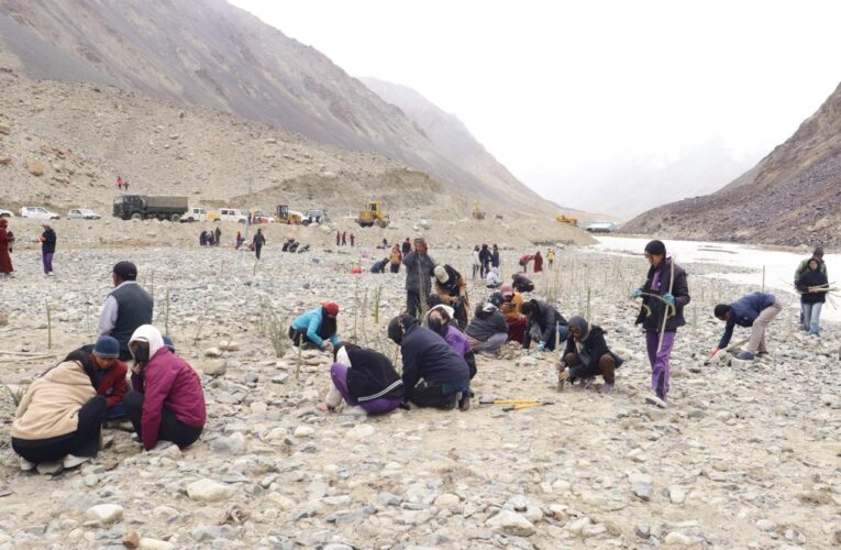 World Biodiversity Day: Indian Army’s Fire and Fury Corps Leads Plantation Drive in Tangtse