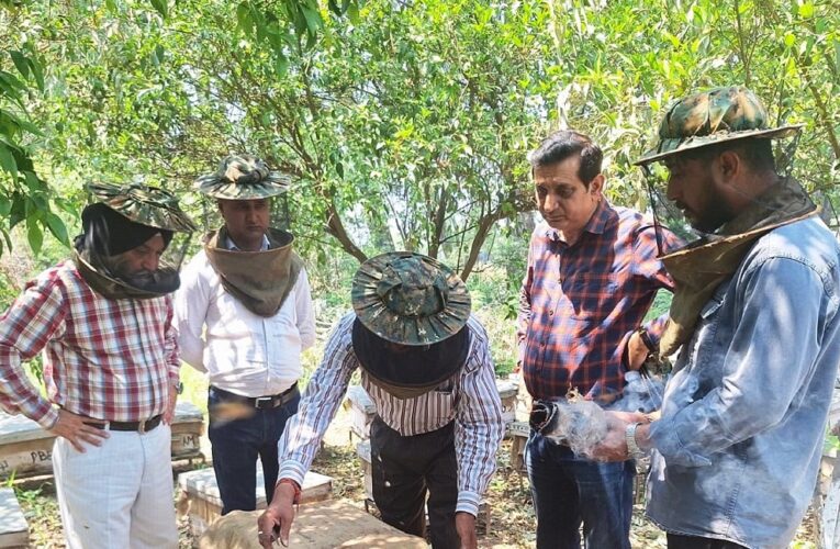 Honey extraction program held at DCTC Chimna Chak in Jammu