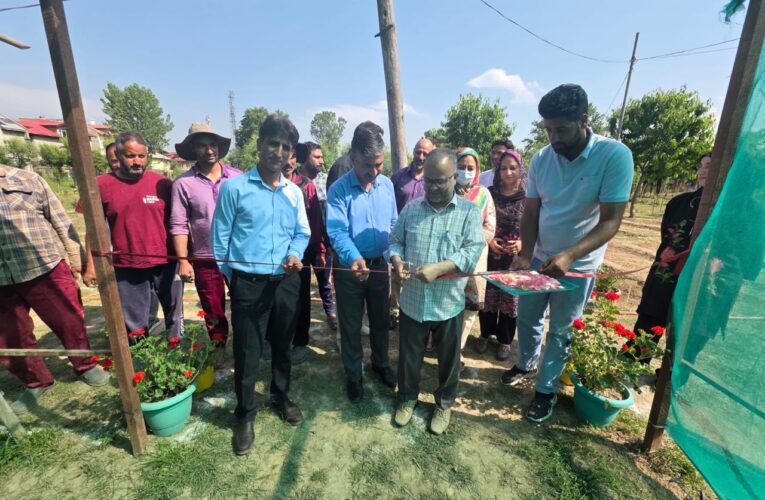 Director Agriculture Kashmir inaugurates summer flower seedling distribution drive in Srinagar