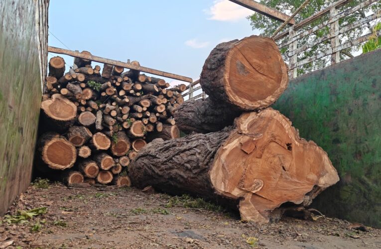 Jammu Police Seize Illegal Timber and  Vehicles in Arnia