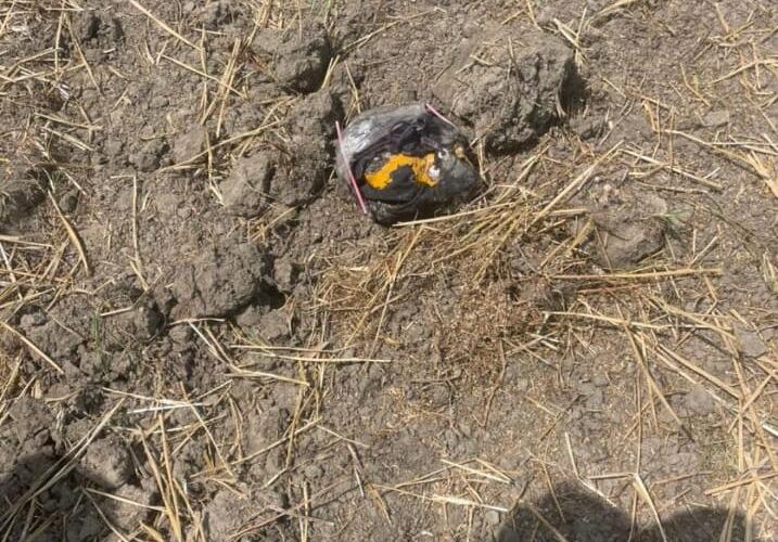 Drone Drug Smuggling Thwarted Near Jammu International Border