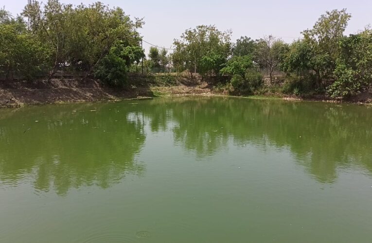 JMC launches special sanitation drive at Deeli Pond