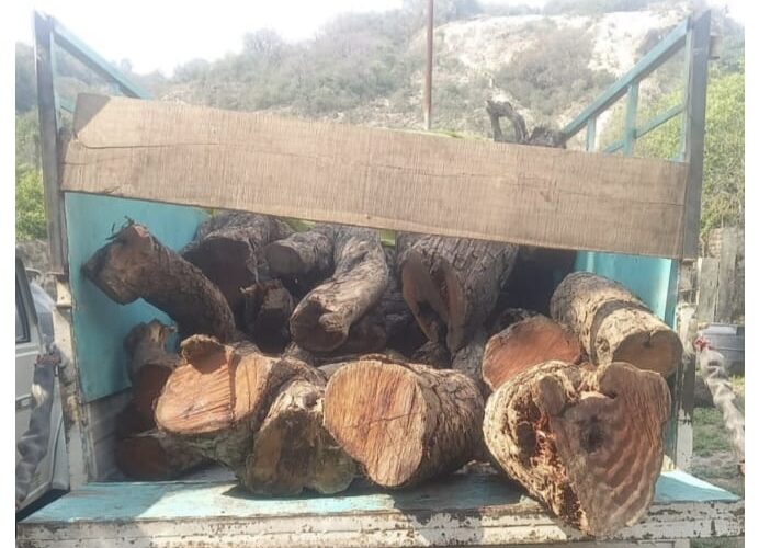 Samba Police Seize Vehicle Transporting Stolen Khair Wood Near Sumb