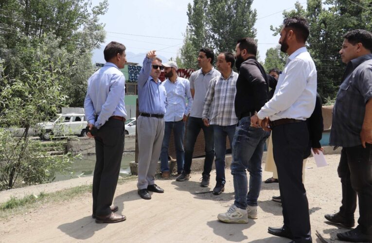 Dal Lake Inflow Channels and Land Inspected to Prevent Encroachment
