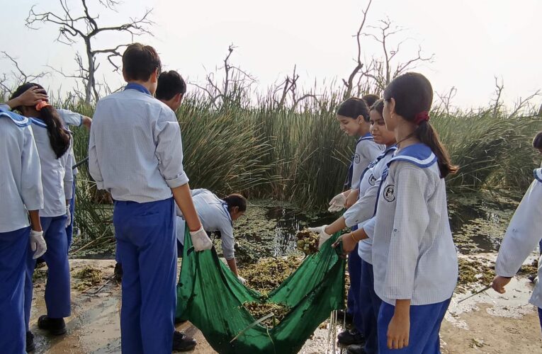 CG City Wetland Lucknow restoration boosts biodiversity to over 400 species