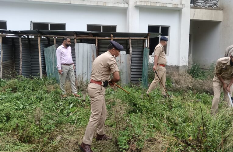 Doda Police Destroy 36 Kanals of Wild Cannabis in District-Wide Crackdown