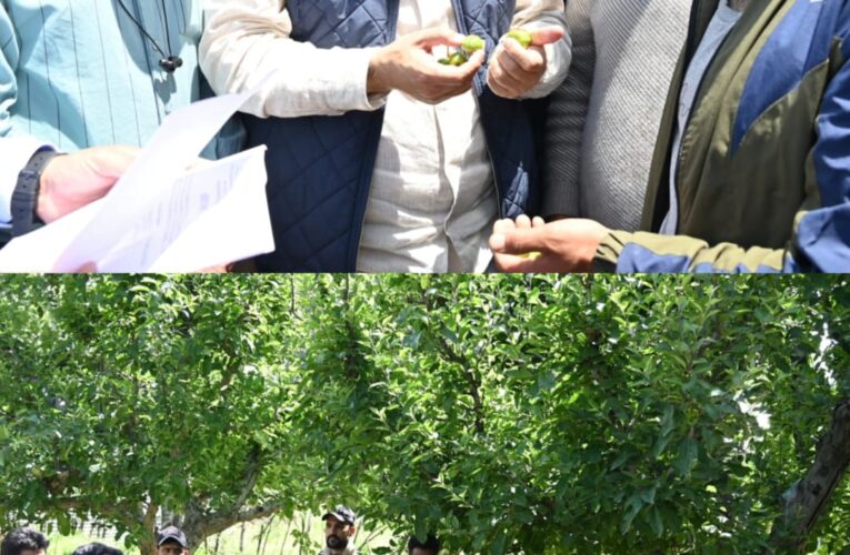 Javid Dar tours hailstorm hit Rafiabad, assures relief to affected farmers