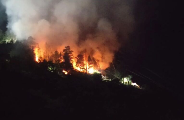 Indian Army troops quickly contain forest fire near Joshimath Military Station