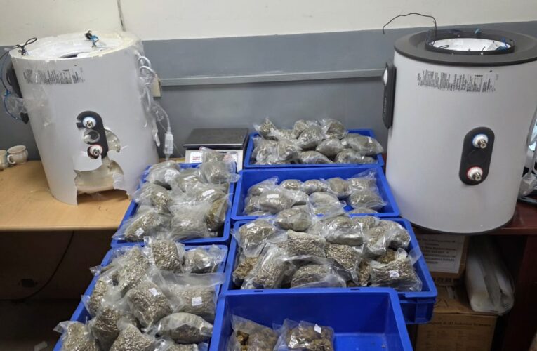 Delhi Customs foils hydroponic weed smuggling attempt at IGI airport