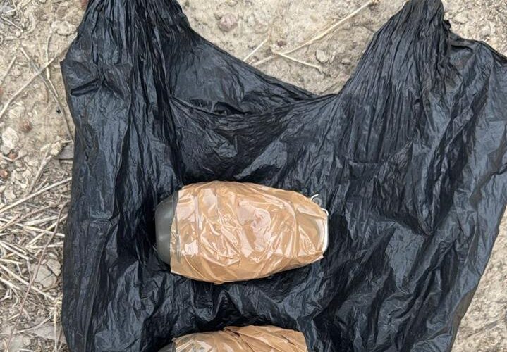 Amritsar police arrest two suspects linked to foreign handlers and recover hand grenades