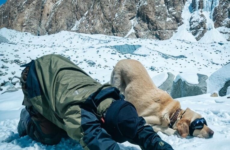 Siachen Sniffers and Handlers Celebrate International Yoga Day on Worlds Highest Battlefield