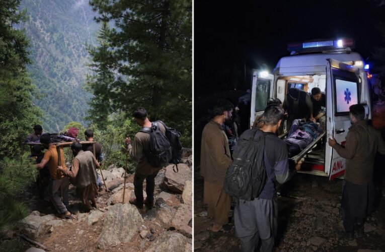 SOG Ganderbal Rescues Critically ill Shepherd from Remote Forest Area in a Five-Hour Life-Saving Operation