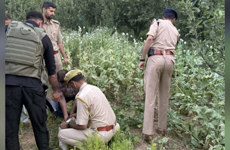 Anantnag Police Launch Major Anti Drug Operation Arrest Four Suspects and Destroy Illicit Crops