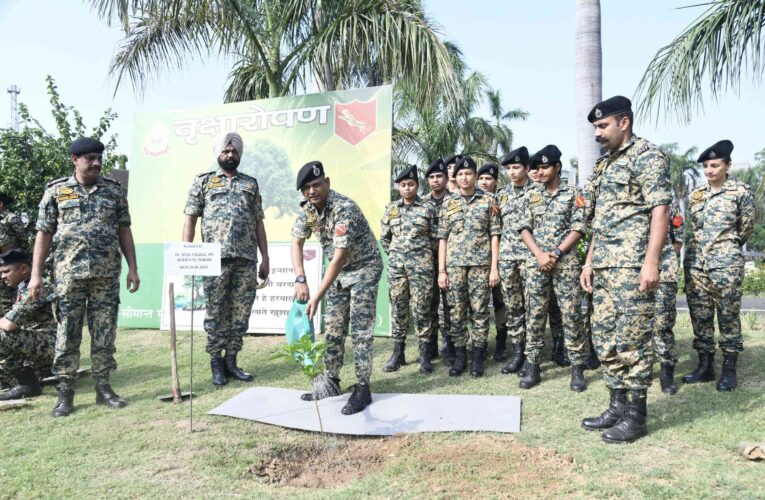 BSF Punjab organizes massive plantation drive on World Environment Day