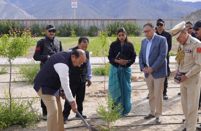 Lieutenant Governor Vinai Kumar Saxena plants Mongolian larch tree at Lok Niwas in Ladakh