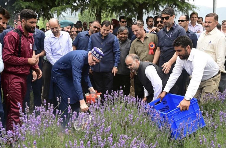 Omar Abdullah inaugurates Lavender Festival and agriculture infrastructure projects in Ganderbal